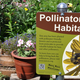 Illustration for article titled Native bees are better pollinators than honeybees.